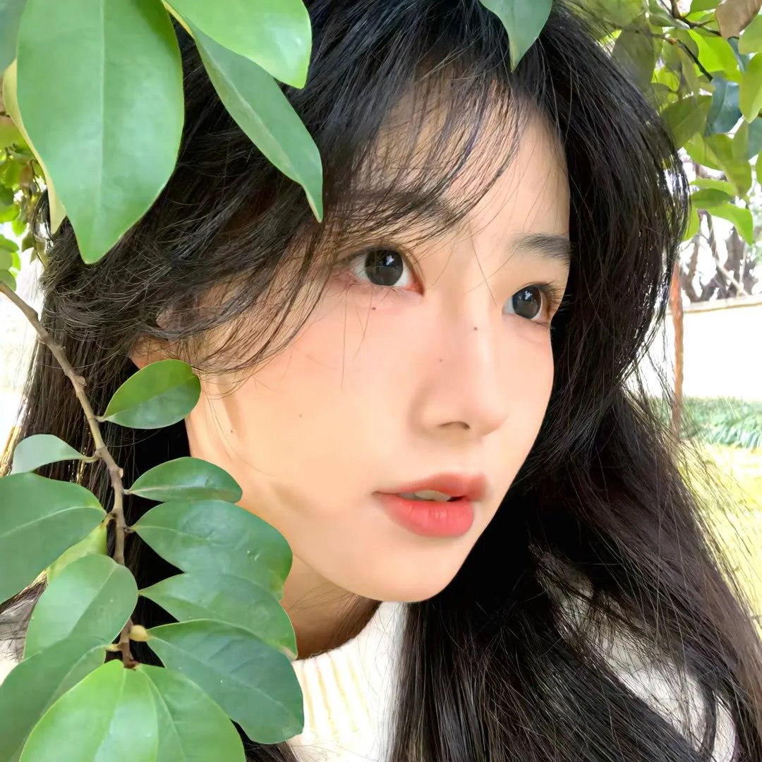 非凡秀